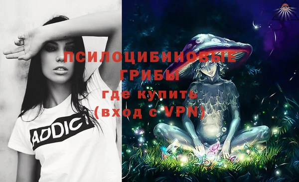 гидропоника Алзамай